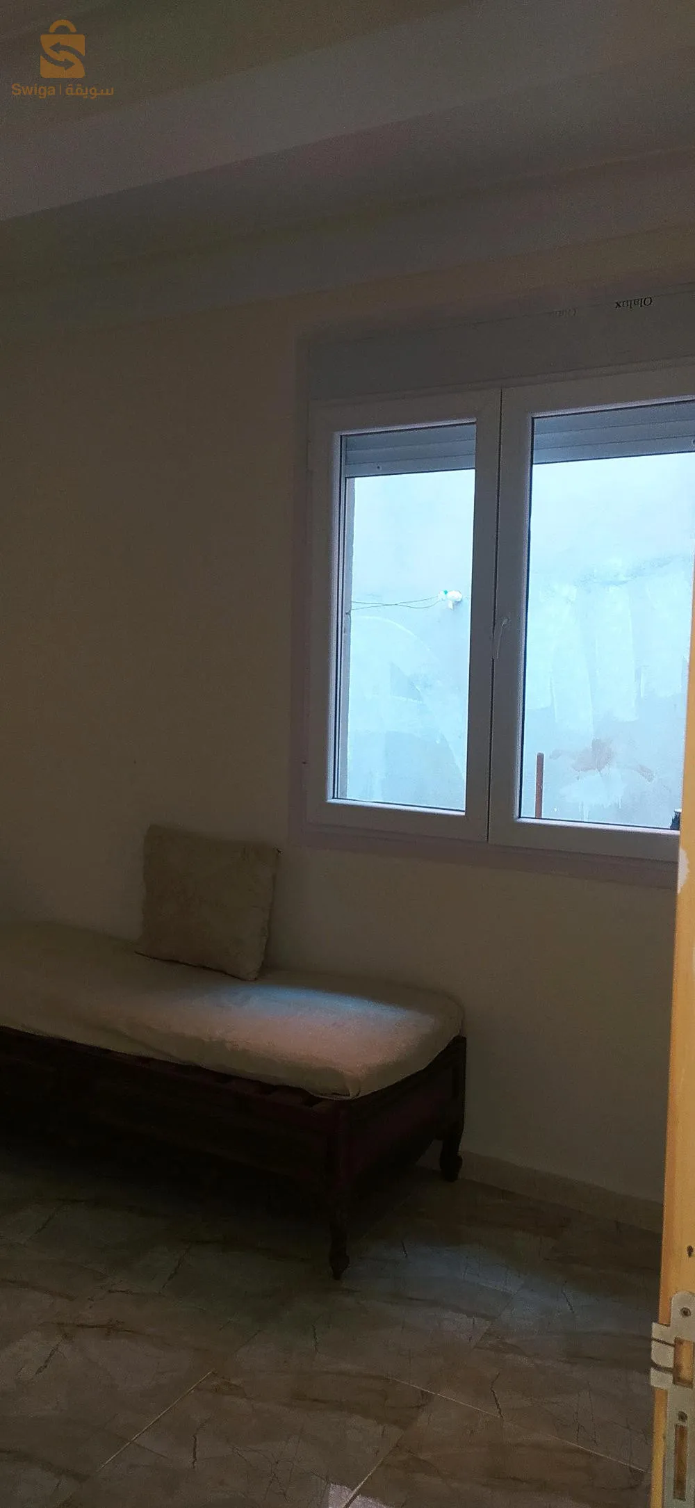 زيتونة لرهاط تيبازة