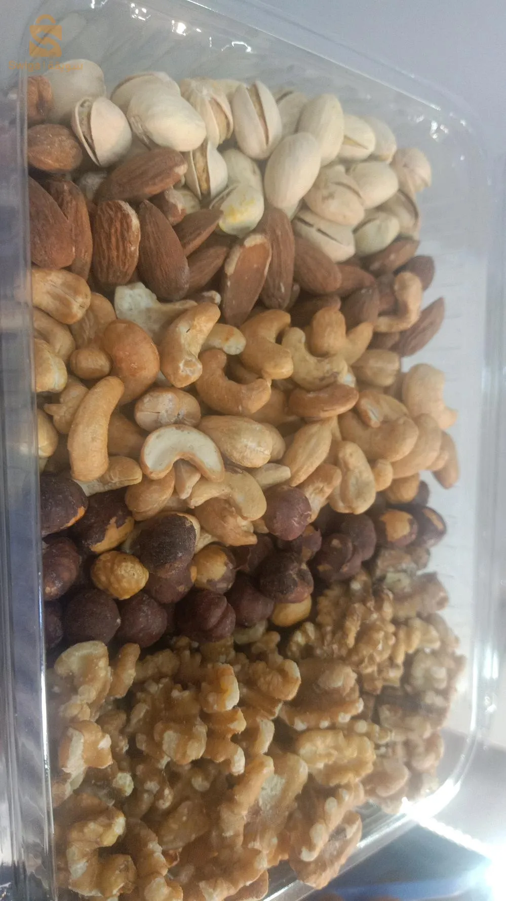 محمد بلوزداد