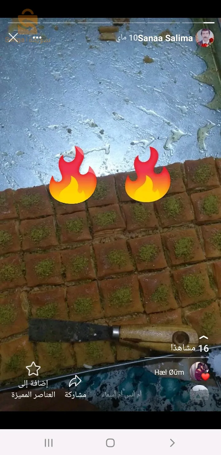 سيدي علي مستغانم