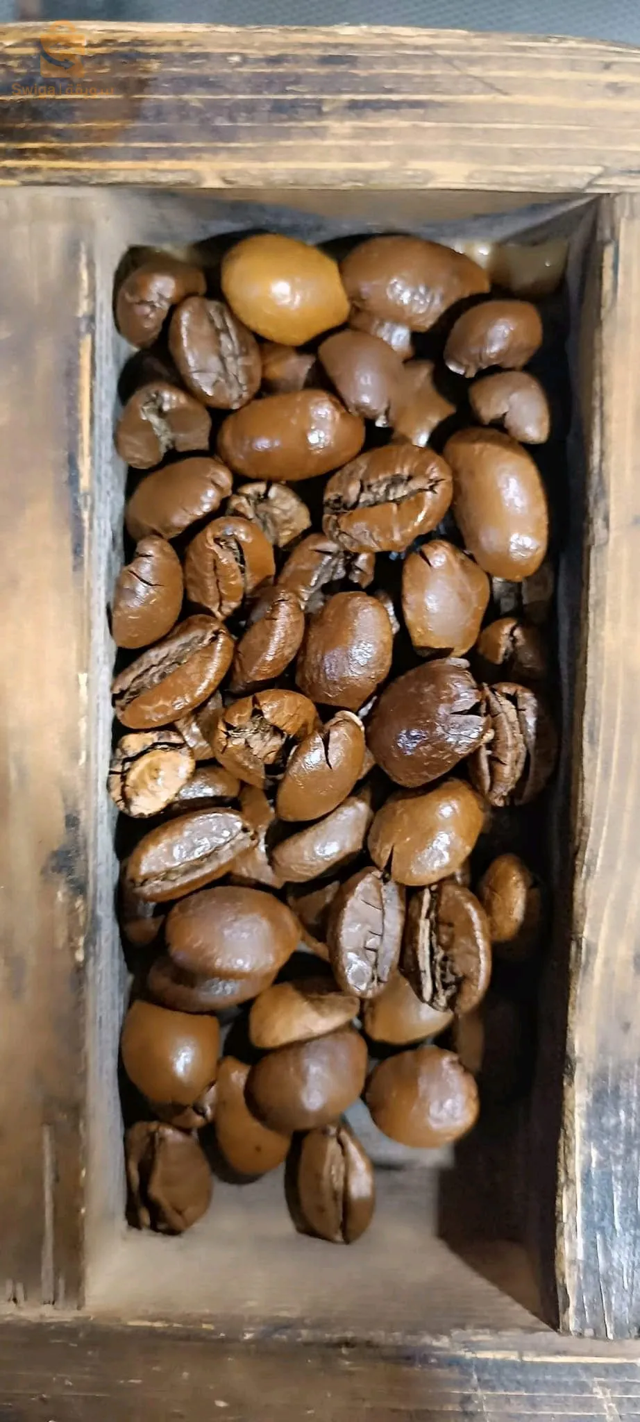 قهوة محمصة والخضراء للتنحيف