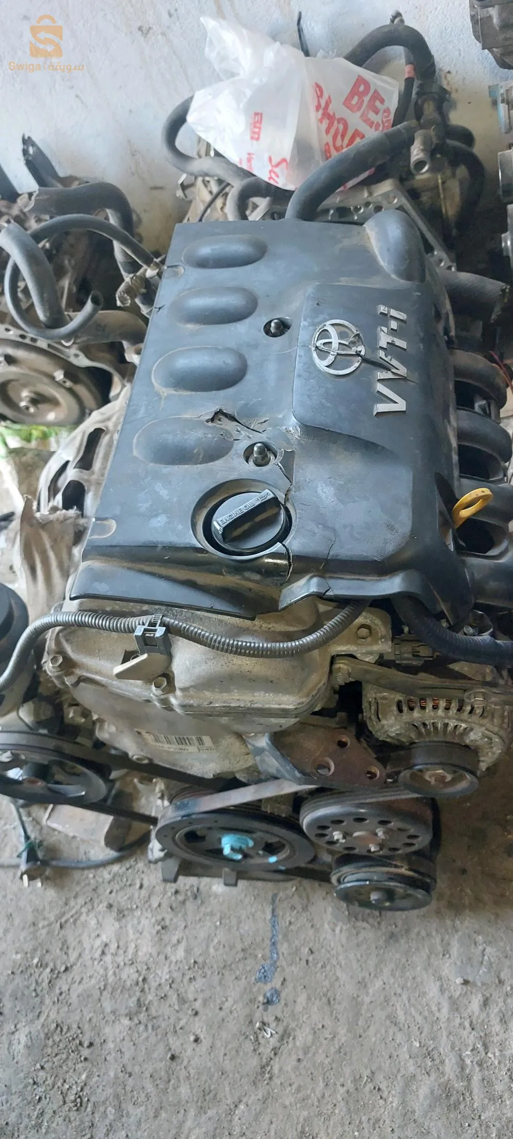 الكاليتوس العاصمة