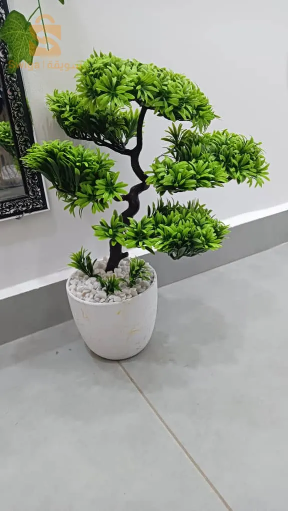 صور الغزلان