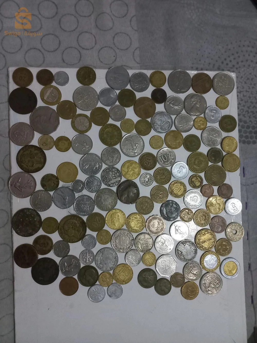 Ali mendjli constantine