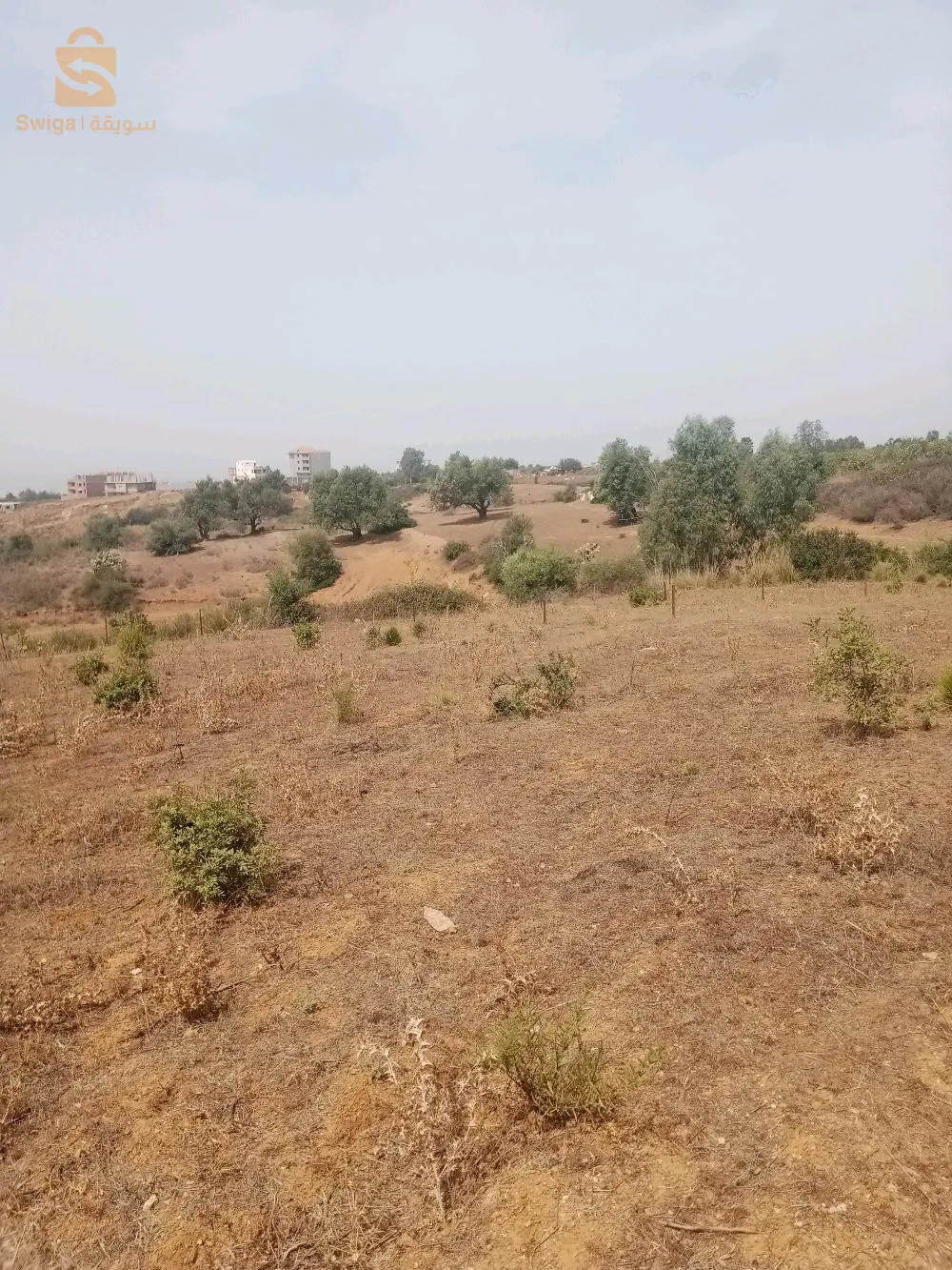 terain a vendreavendre terrain de 1500 m2 hauteur de Boumerdes
