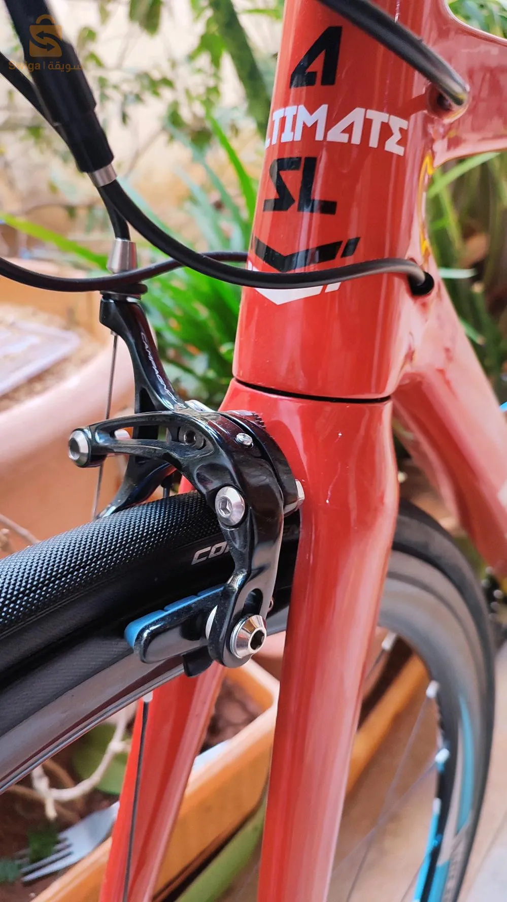 vélo course carbone