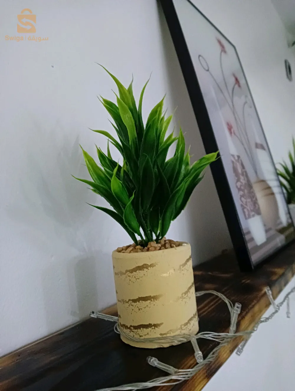 صور الغزلان