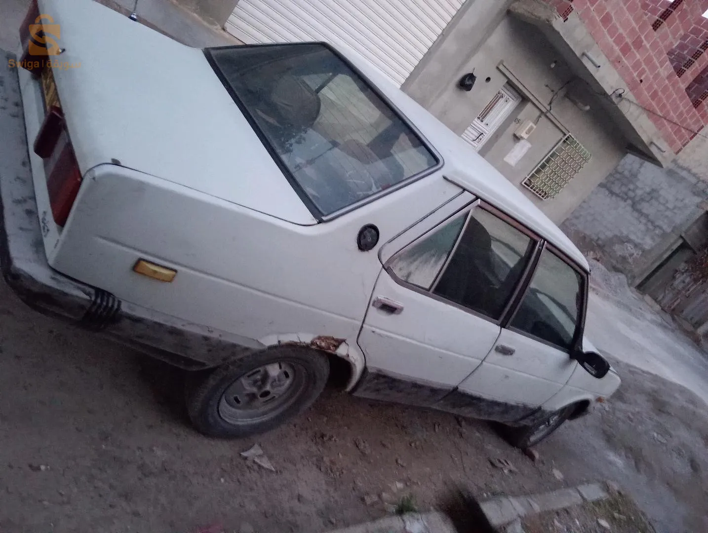 عبزن العصافير