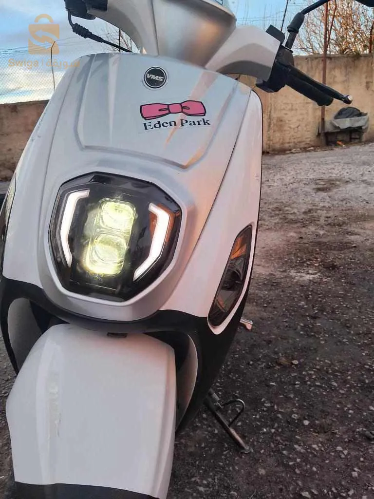 VMS