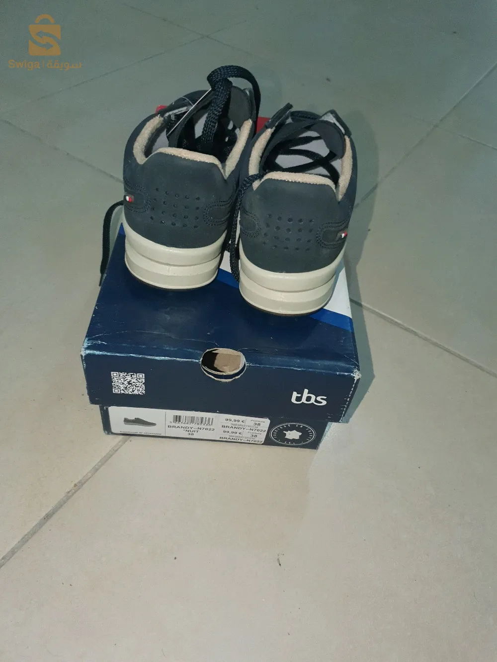 Tbs.  Pointer 38.    Contitie