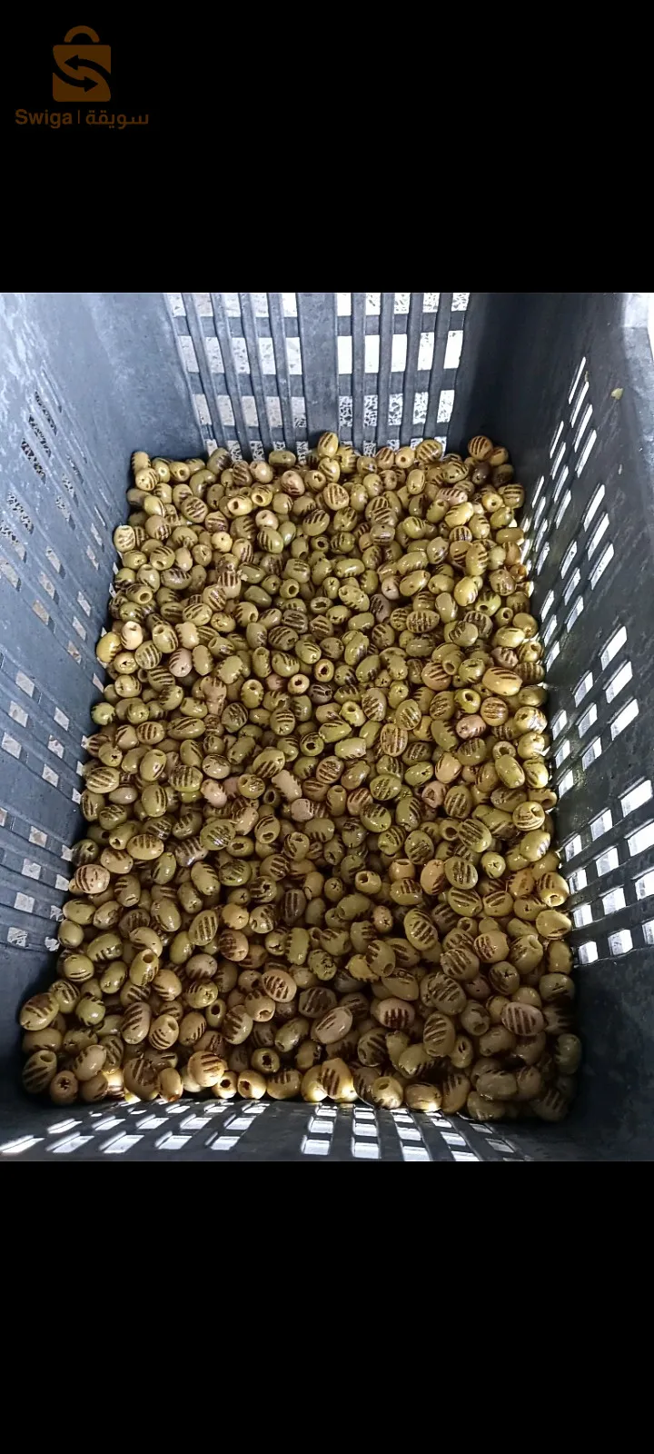 سطيف