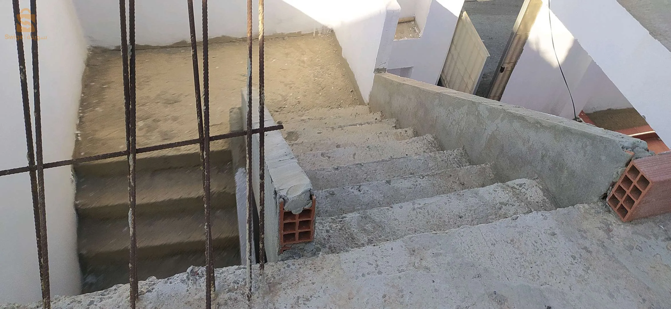 زيتونة لرهاط تيبازة
