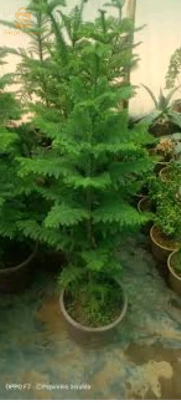 aménagement des espaces verts