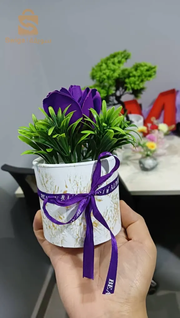 صور الغزلان