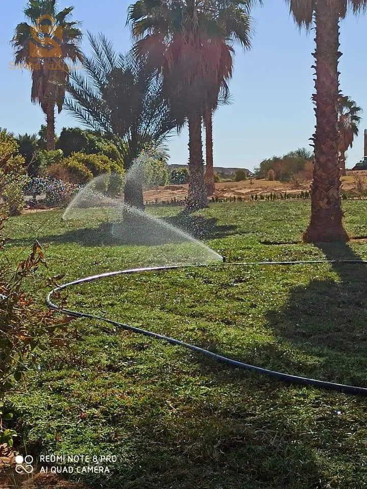 بيع وتركيب العشب الطبيعي .نبات الزينة.أشجار.نظام السقي.......كل مايتعلق بالحدائق..........