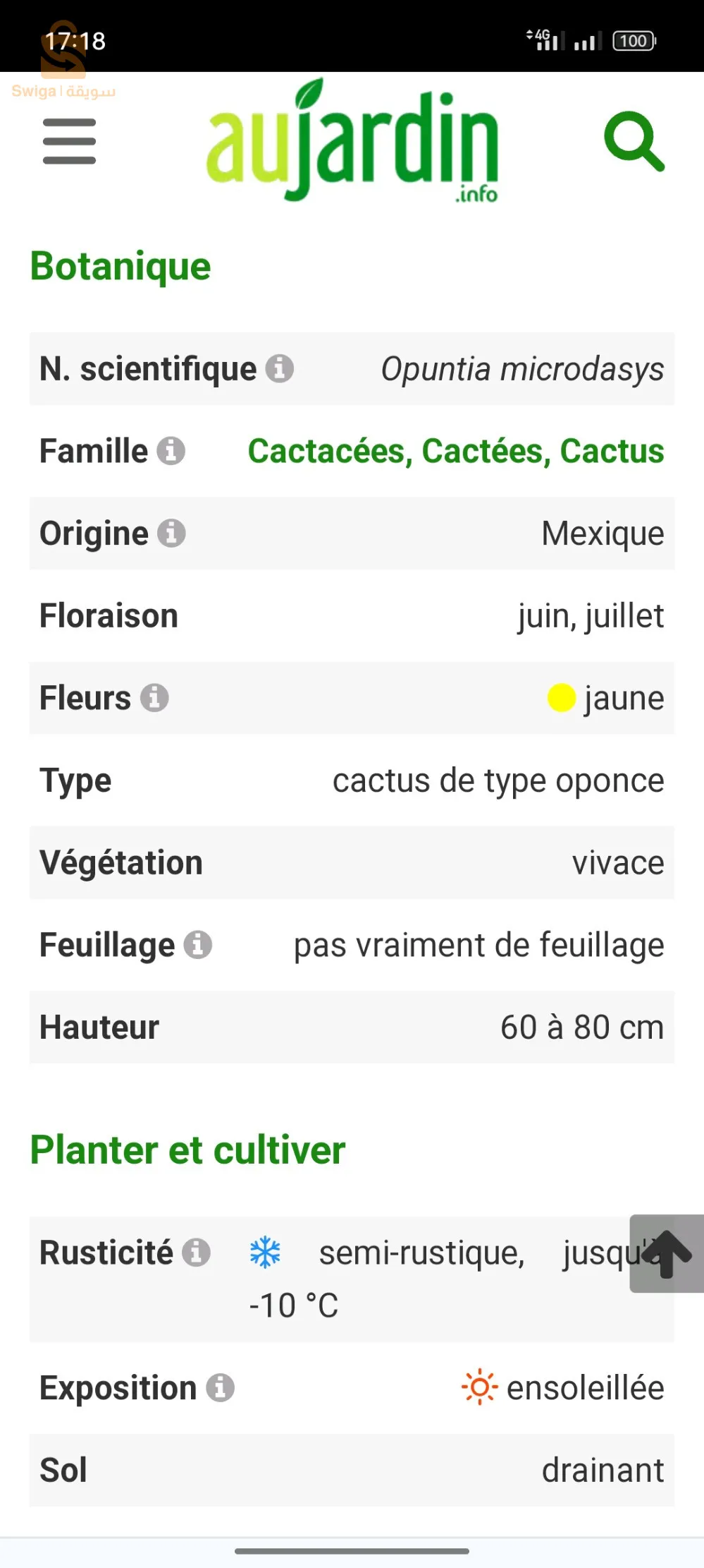 cactus 🌵🌵🌵🌵🌵🌵🌵🌵🌵🌵🌵