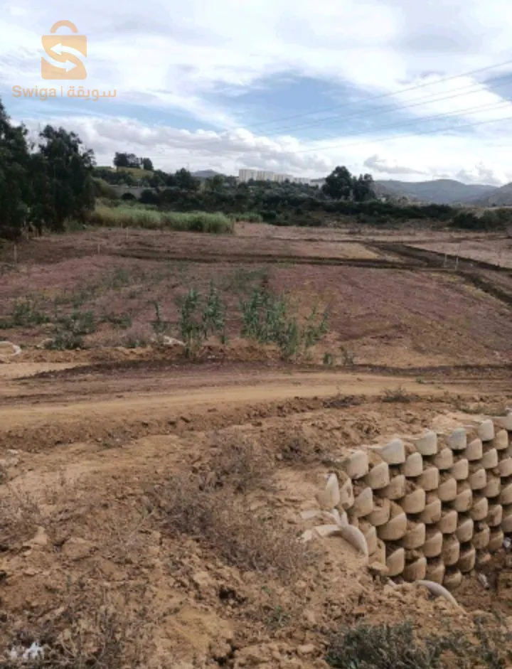 بيع قطع اراضي بولاية بومرداس بسعر مغري لمدة محددة