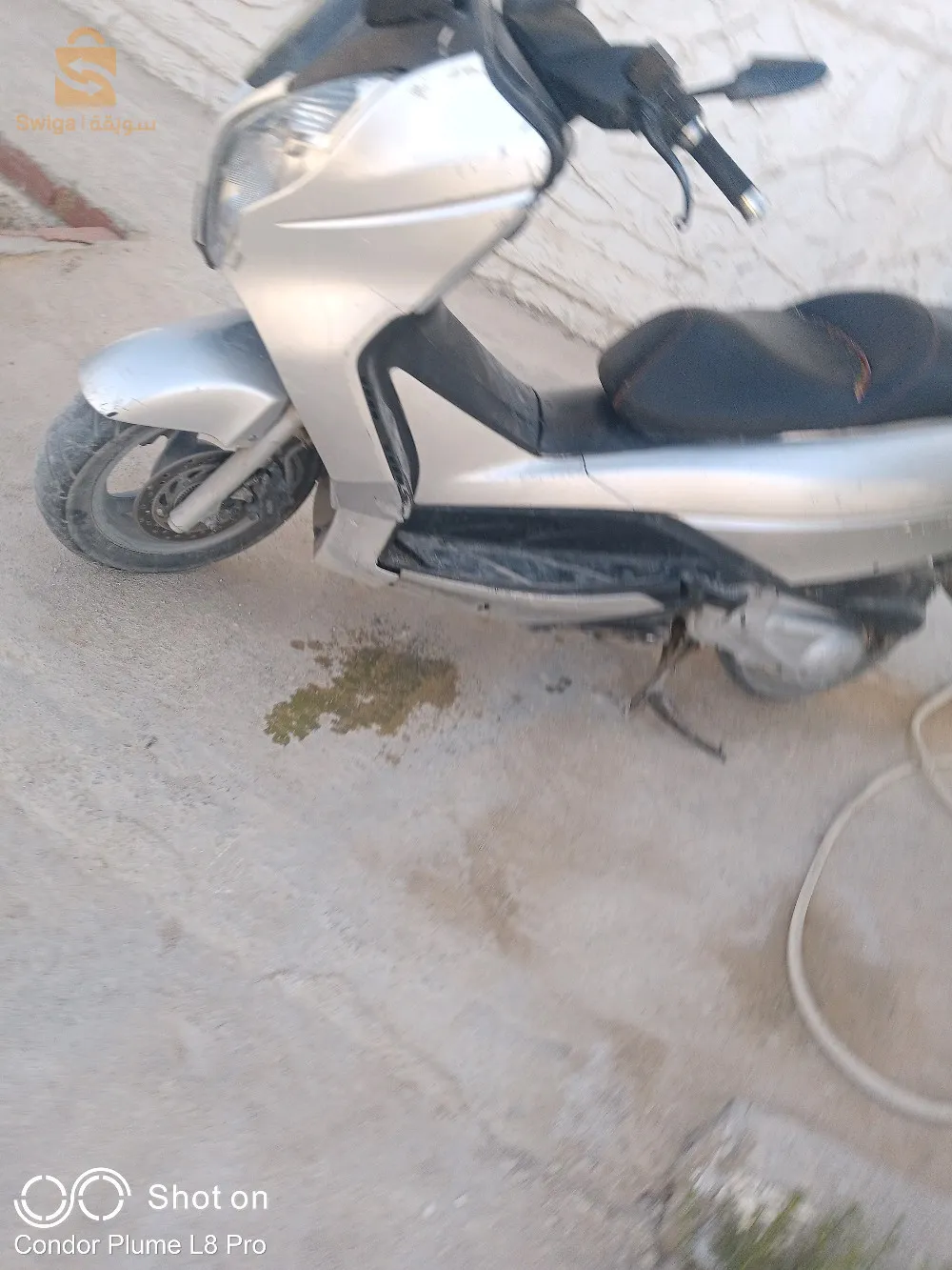 خنشلة بابار