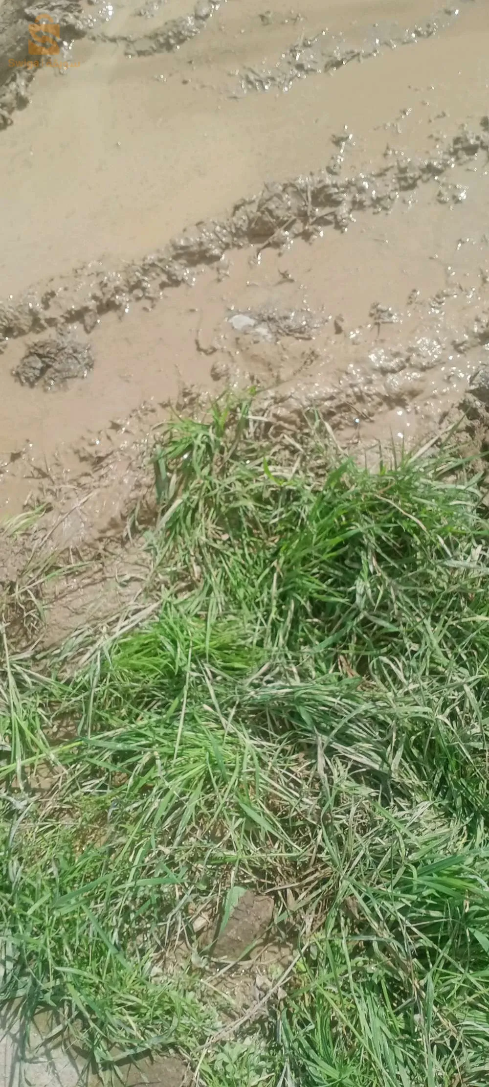 مركز خذام طريق وطني رقم 61 بلدية شبلي