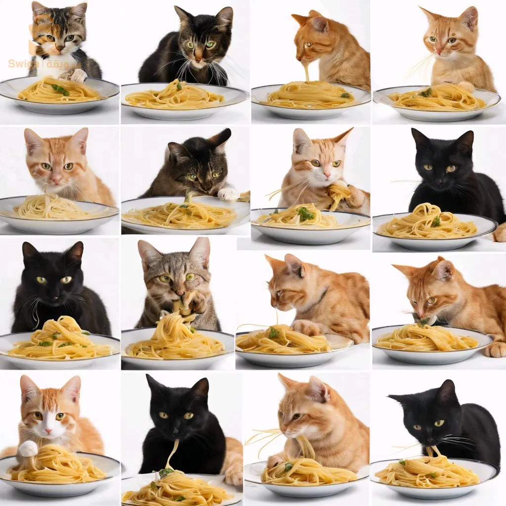 Nutritional pasta rich in protein and vitamins