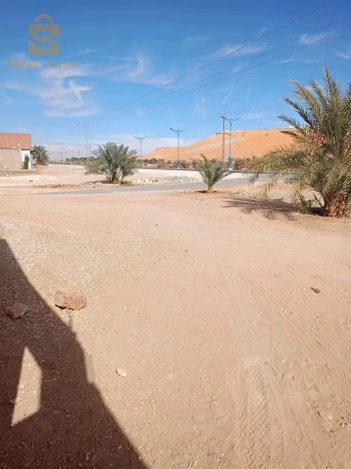المنيعة حاسي القارة الشرقية.طريق اللور