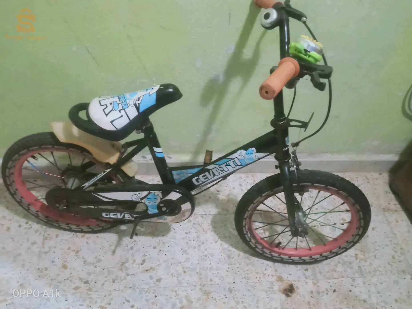 الكاليتوس  الجزائر العاصمة