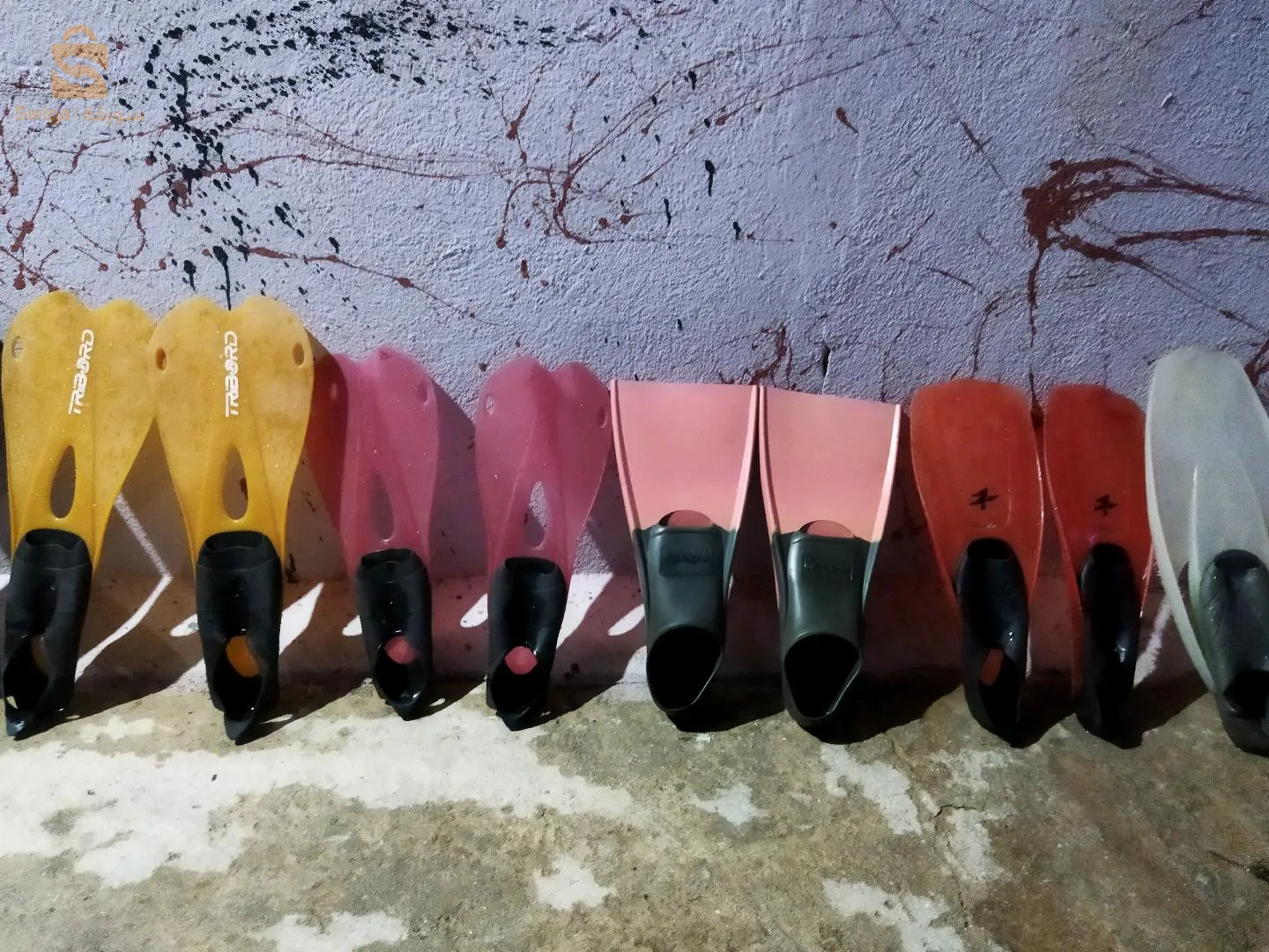 بيع بالحياة ولا جملة