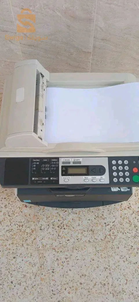 الشطية الشلف