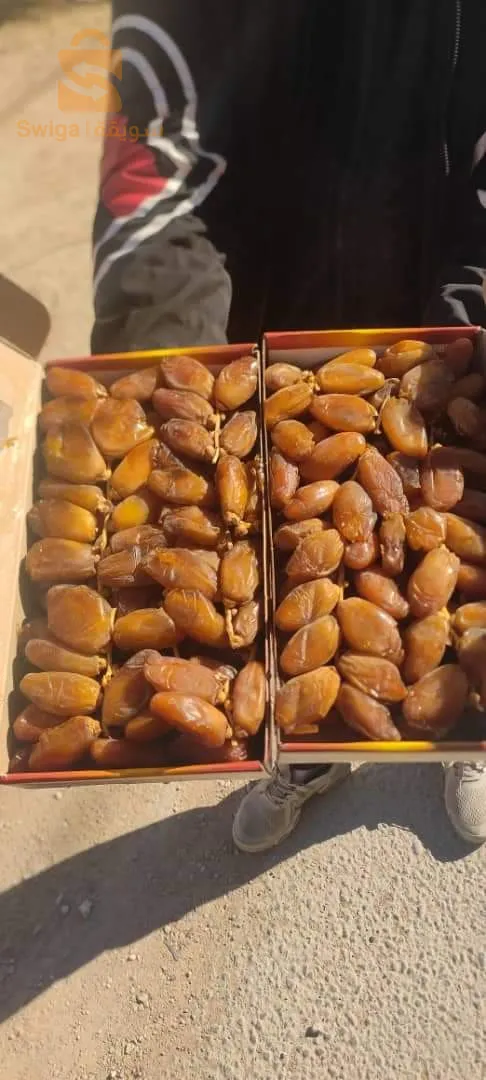 دقلة نور جزائريه ذات جودة عالية ماشاء الله