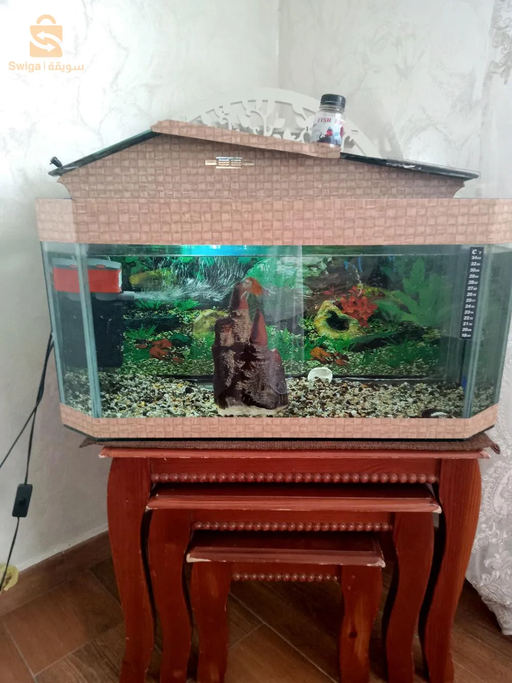 اكواريوم للبيع