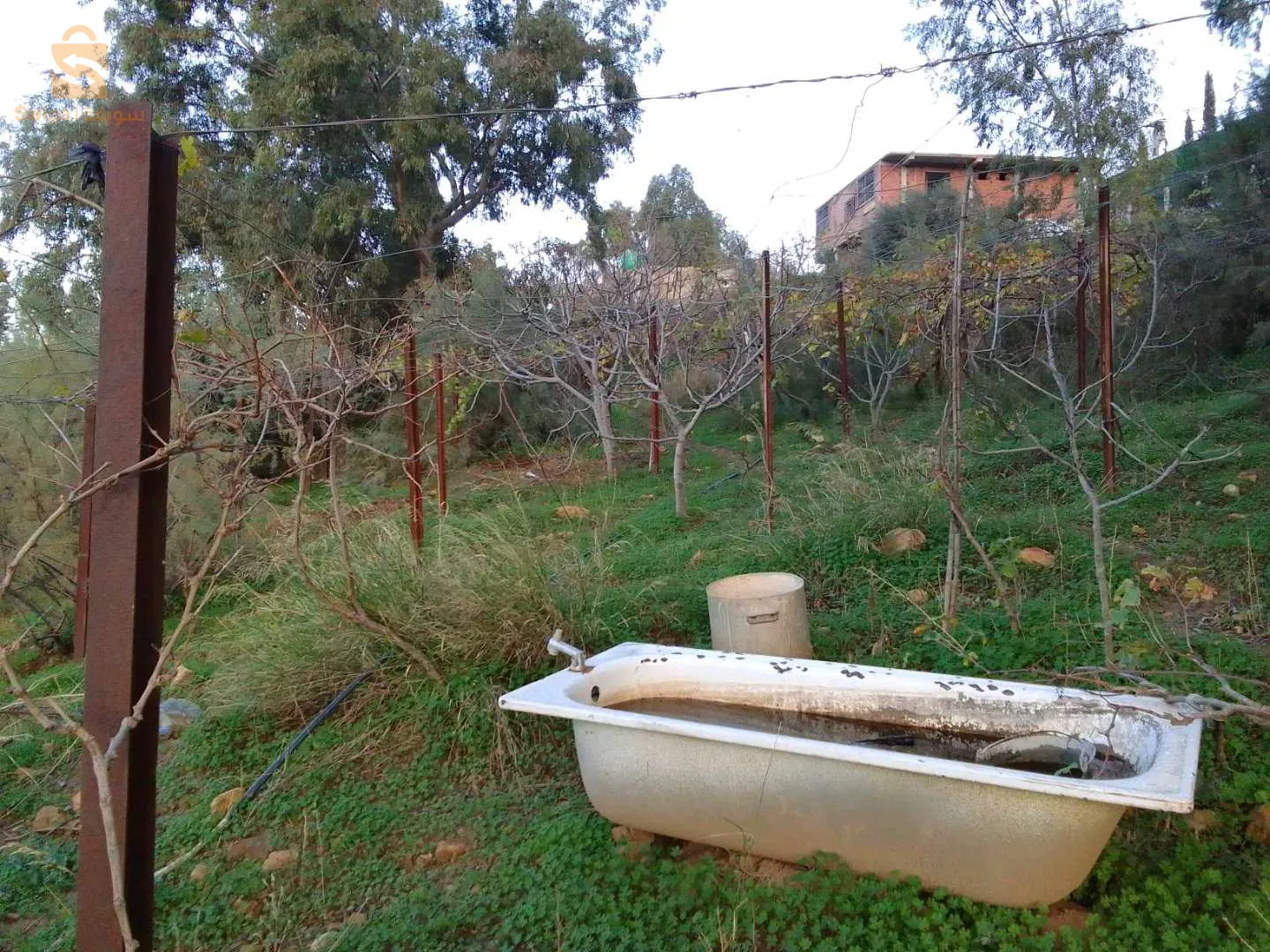 حي الجبسية حمام ملوان