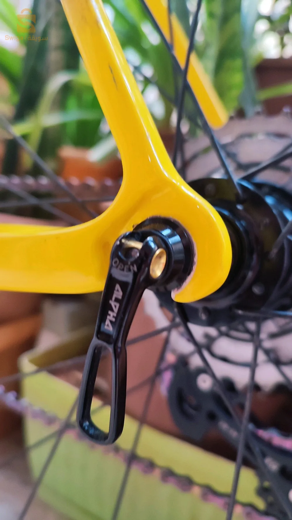 vélo course carbone