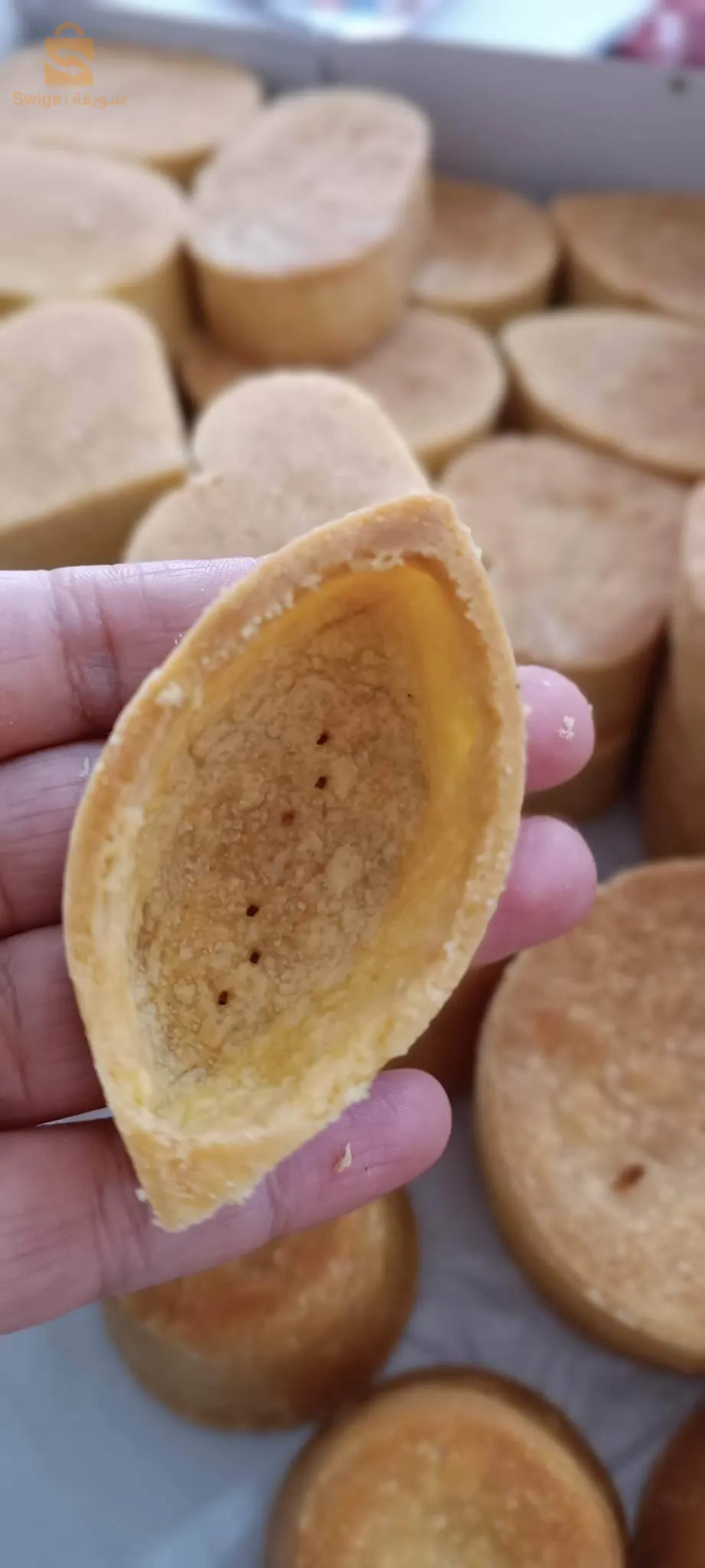 باتنة سوناتيبا