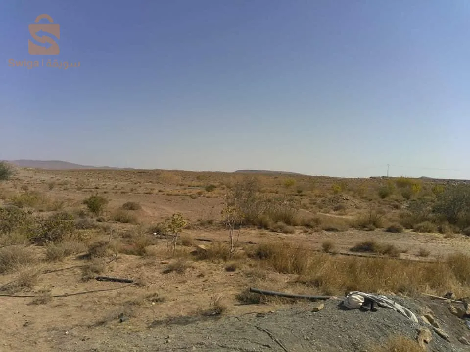أرض فلاحية للبيع