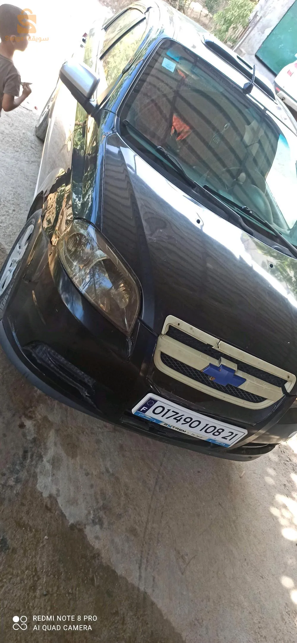 تمالوس