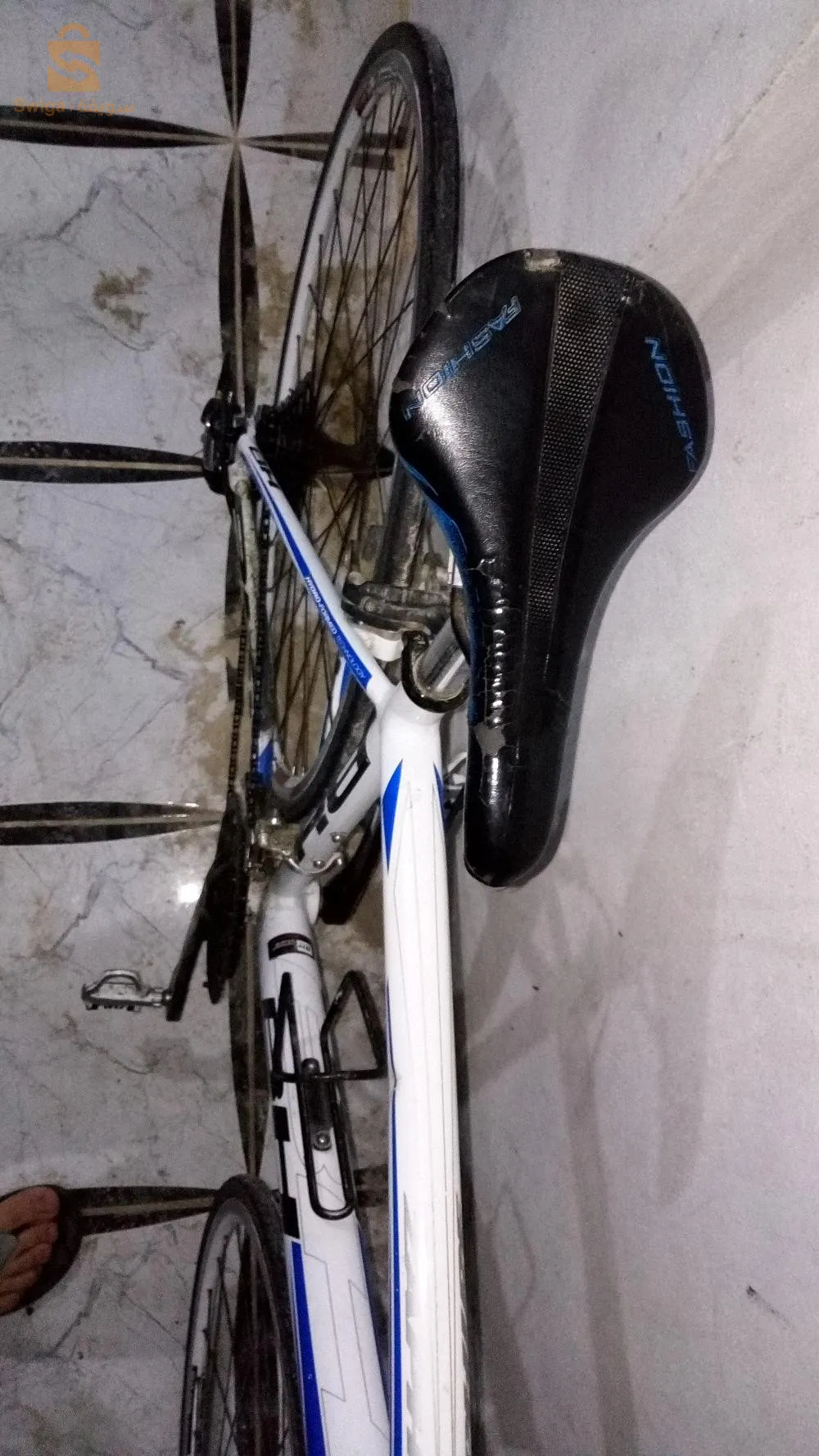 درتجة سباق للمحترفين