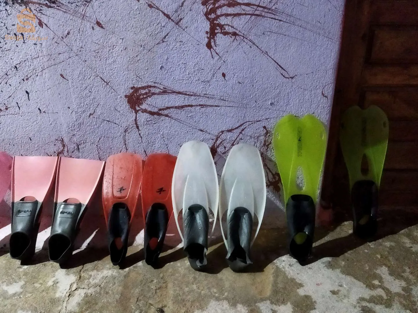 بيع بالحياة ولا جملة