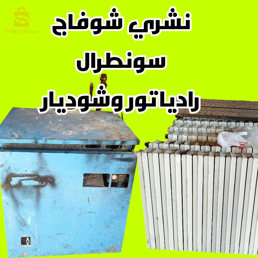 الجزائر