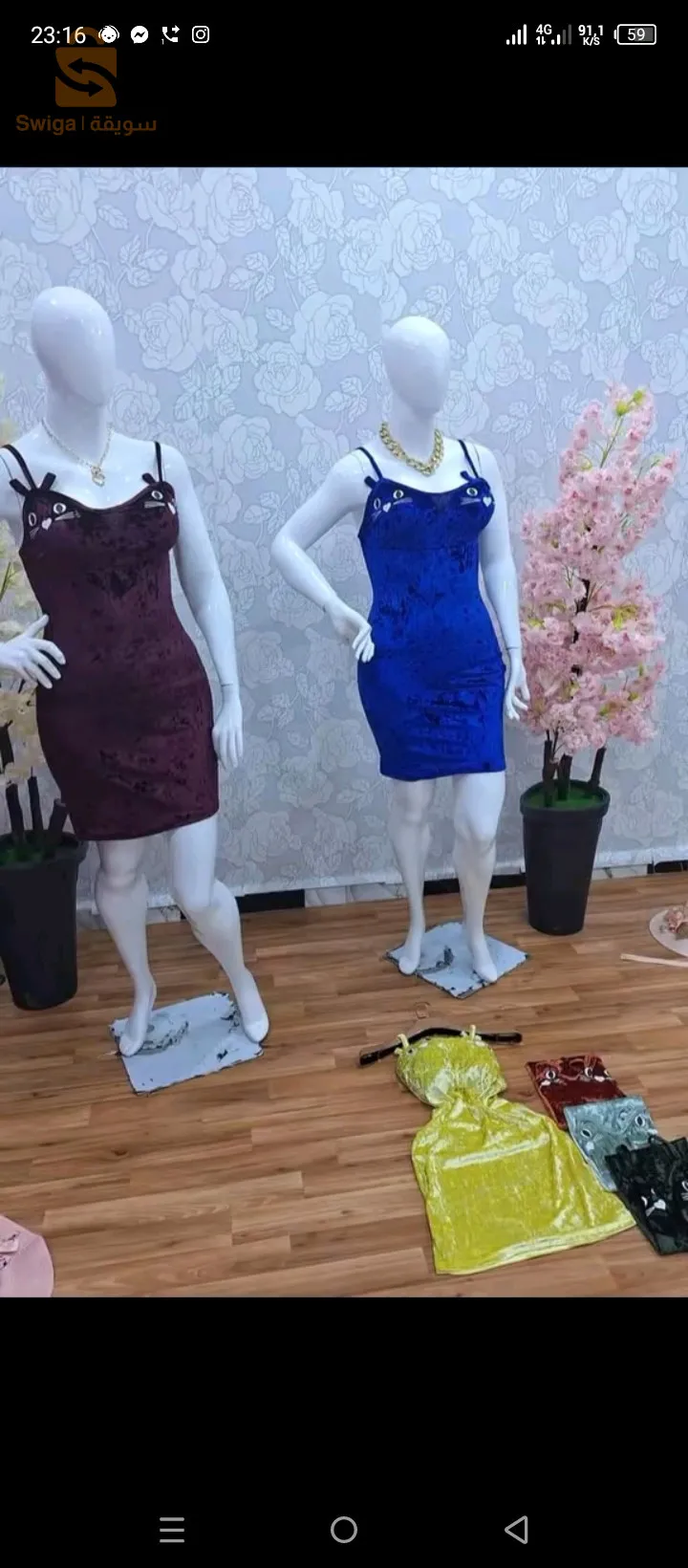الكاليتوس باب الزوار مفتاح