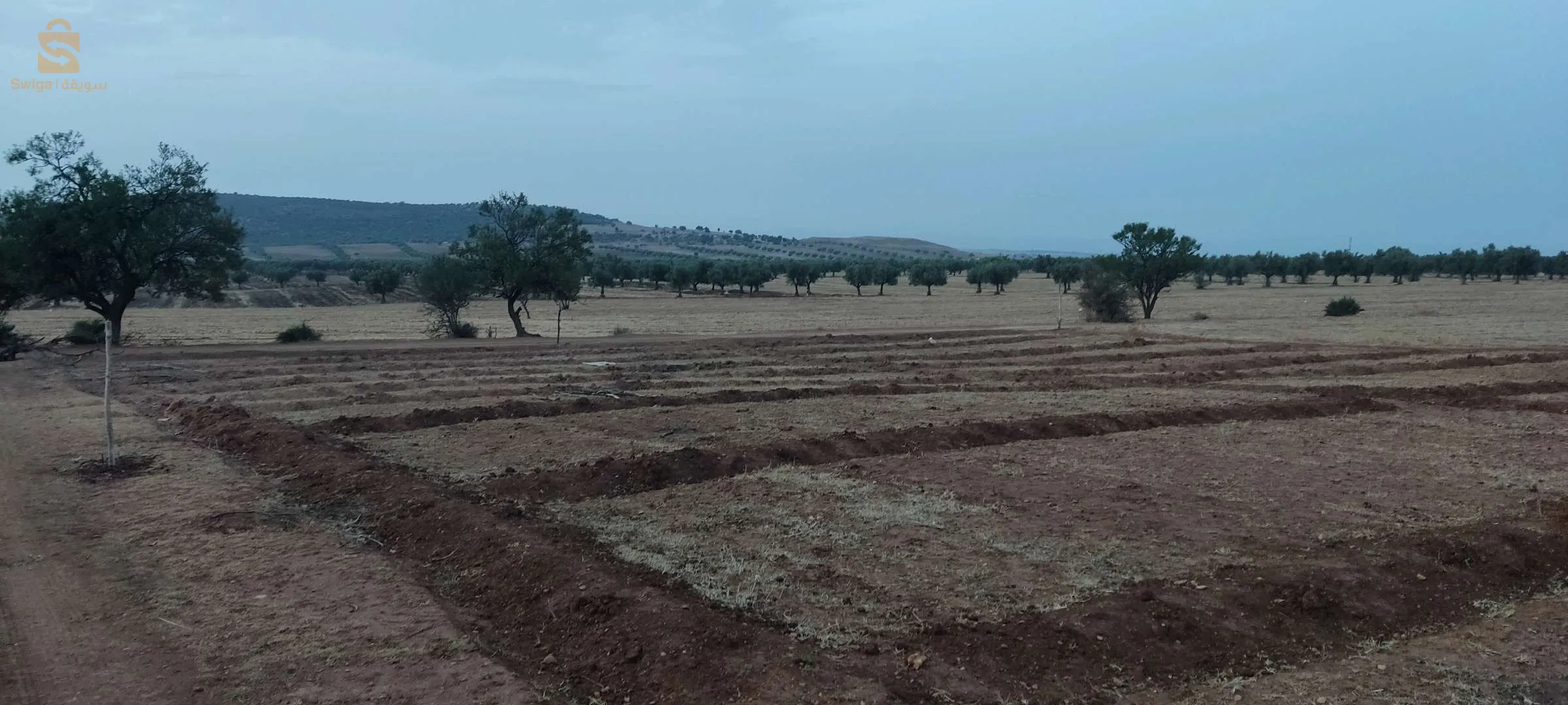 شتوان سيدي عيسى عين البيضة