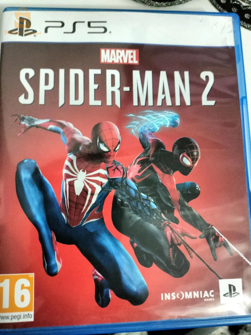 Terrain Boumedien n156 Tiaret