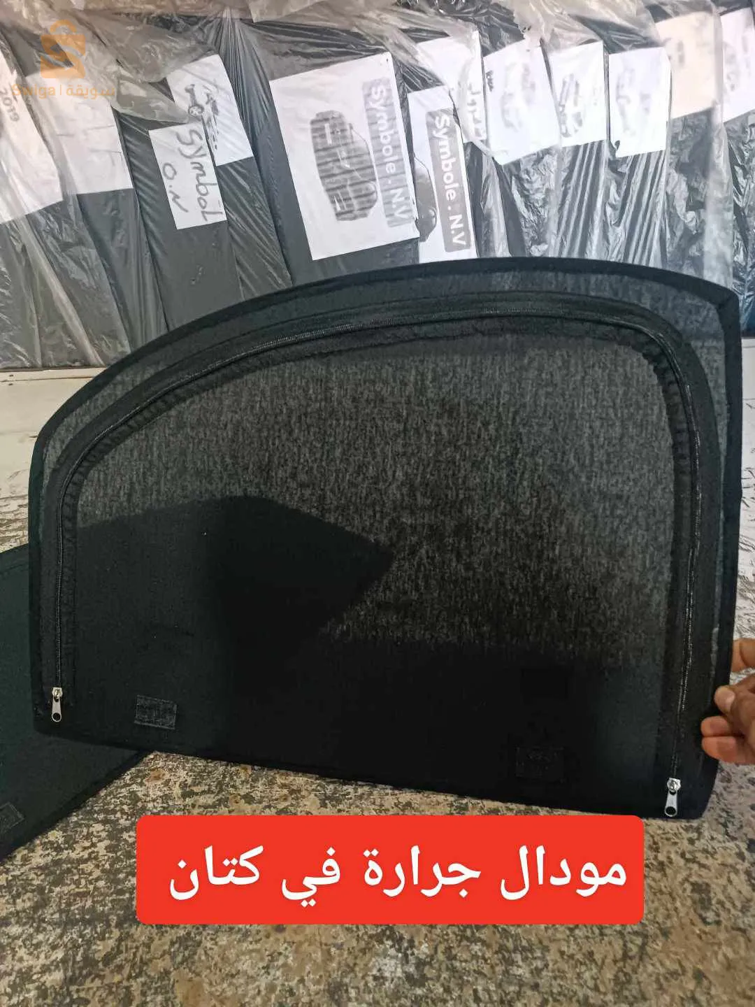 الشلف لاسيتي