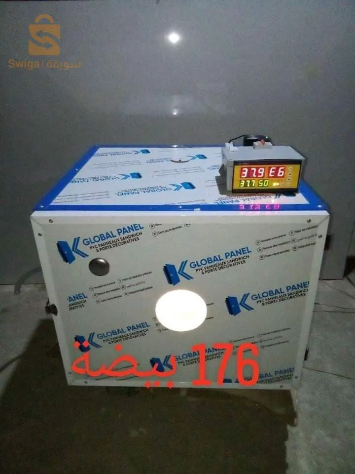 عين دفلي