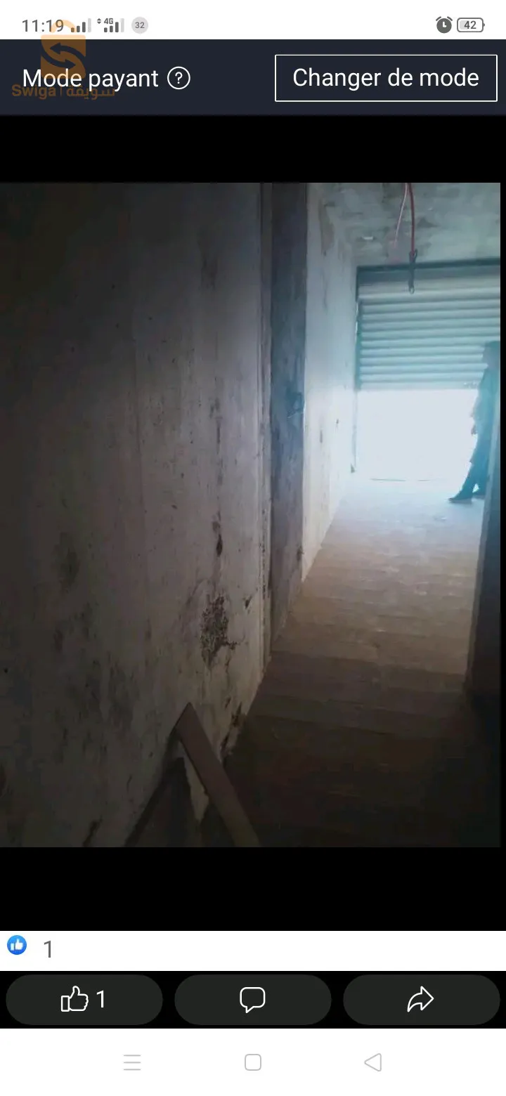 عدل 3100 بوينان البليدة