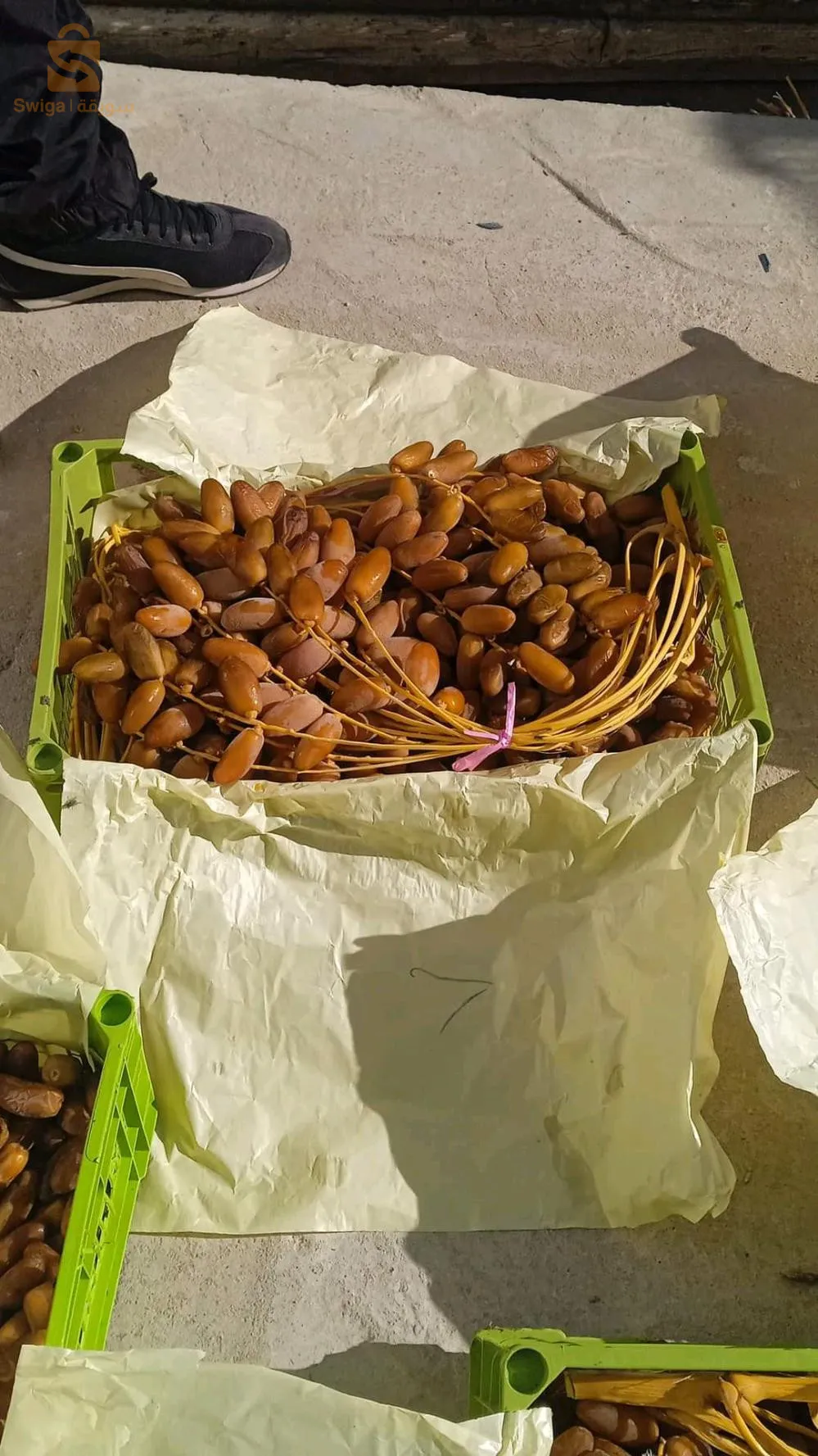 عرجون ما شاء الله