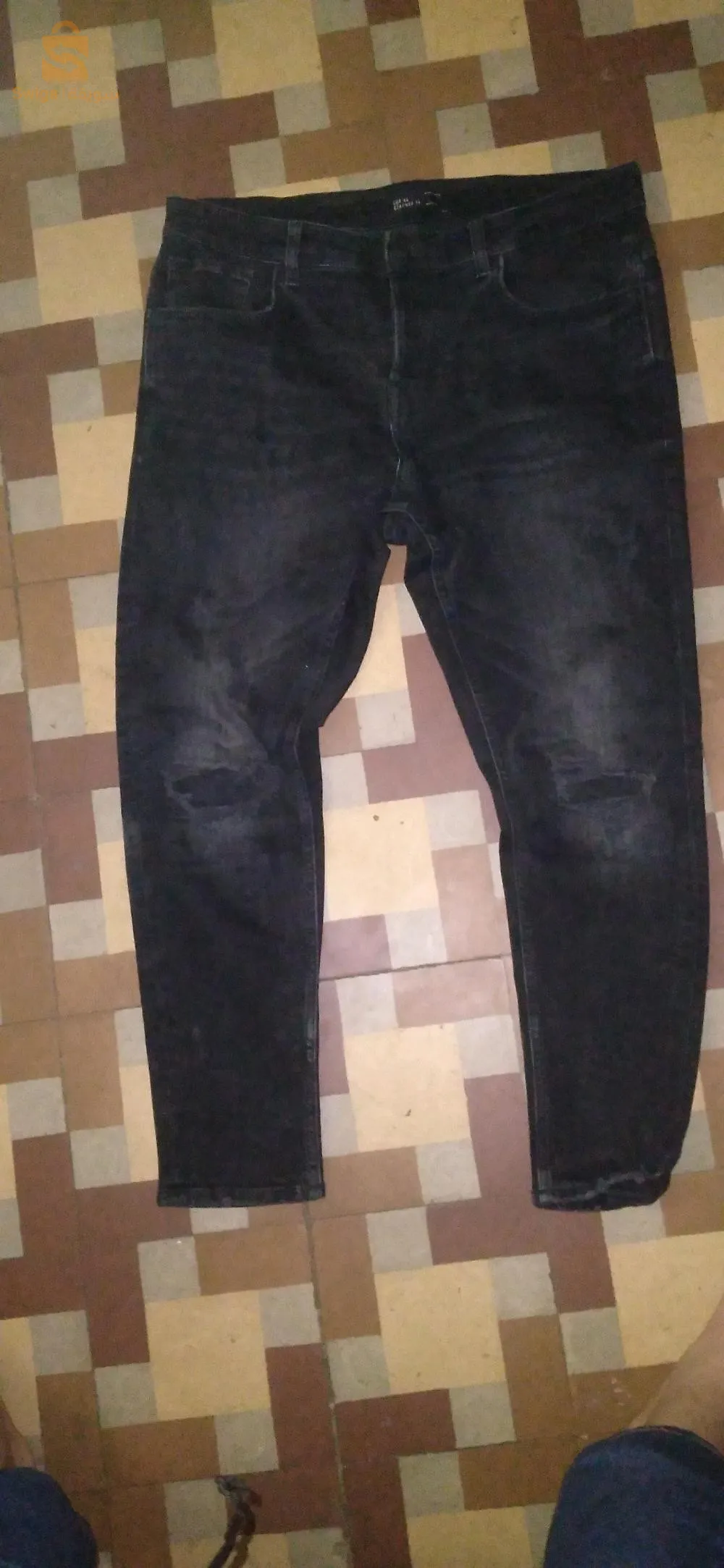 الجزائر الجزائر