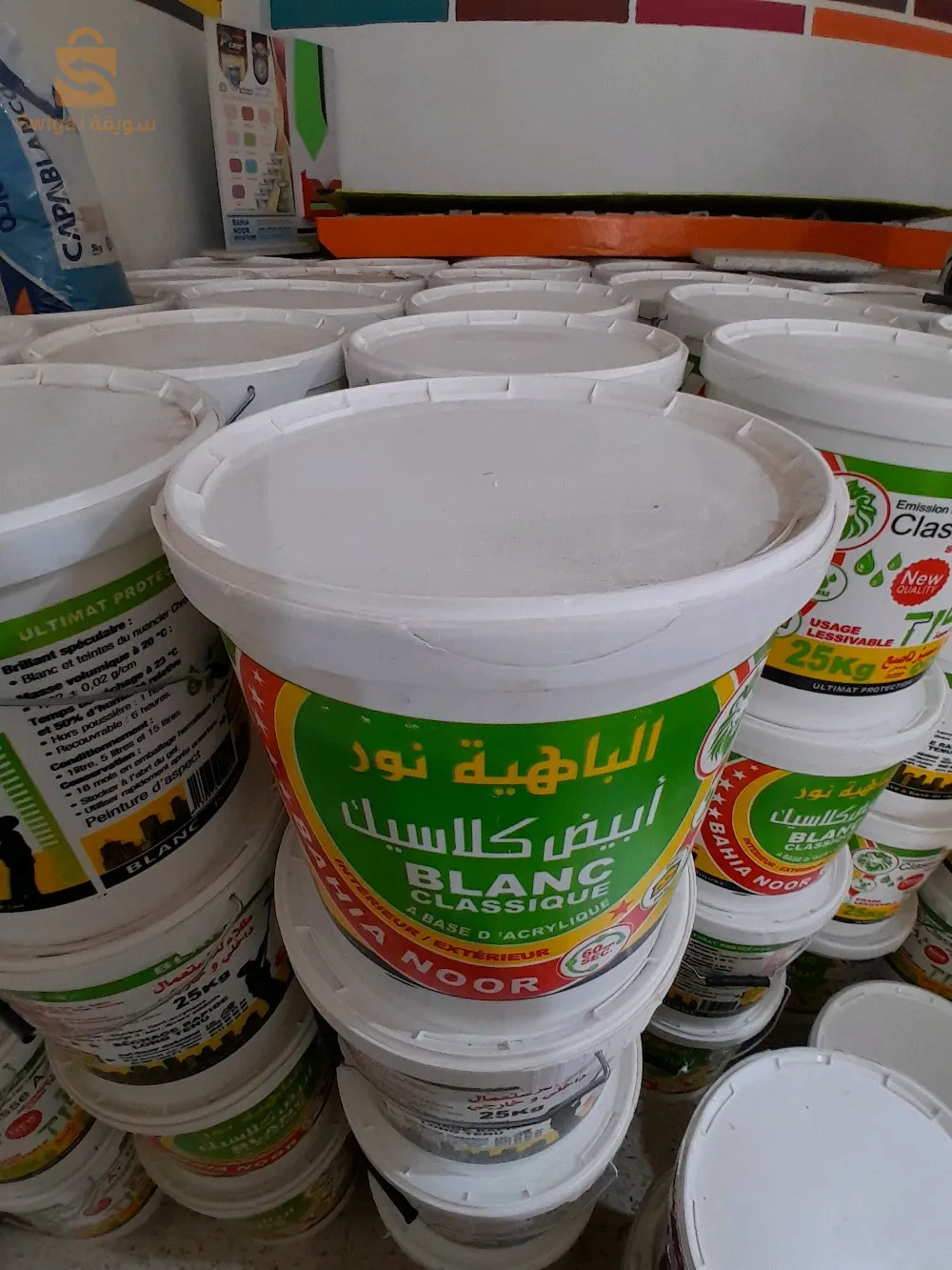 كاستور