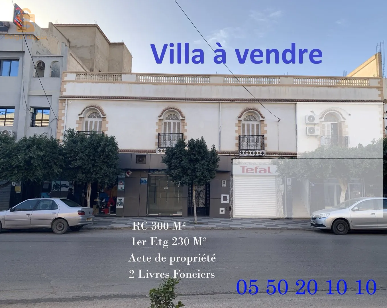 villa commerciale avec 2 magasins centre-ville