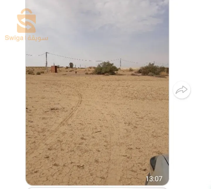 ارض فلاحية في سيدي صالح بدفتر عقاري وعقد ملكية خاصة فيه