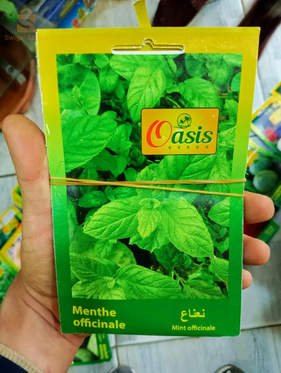 بذور ذات جودةعالية