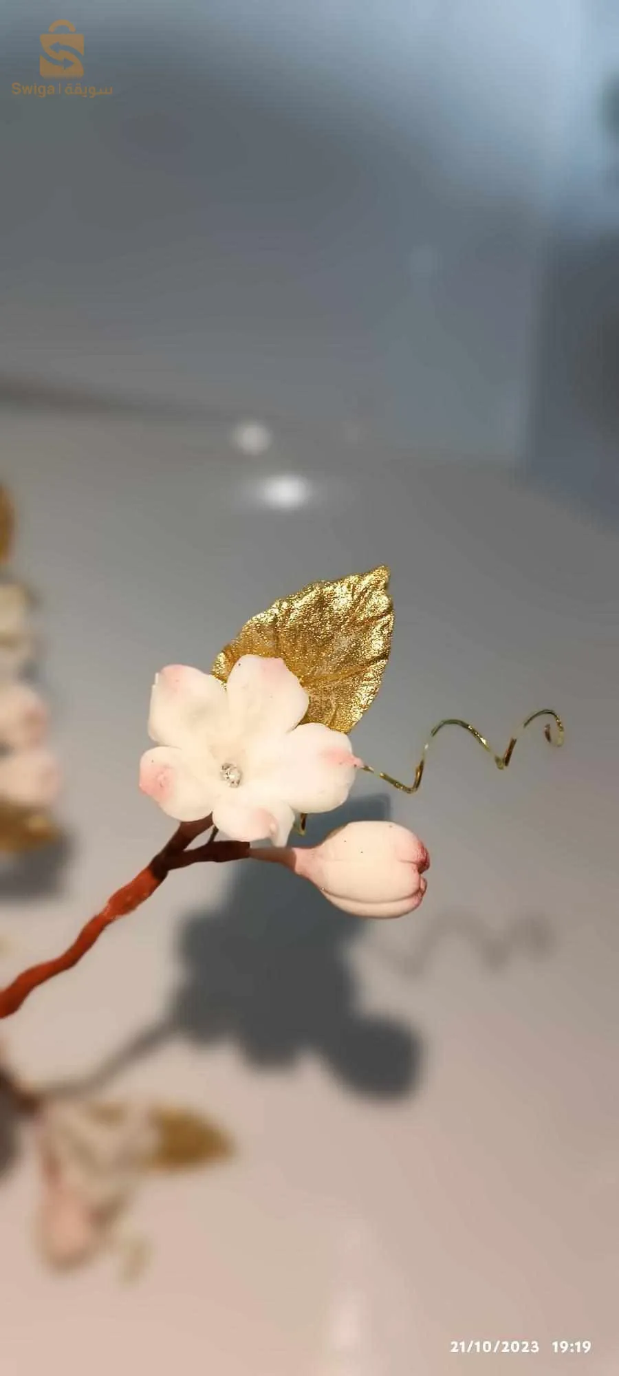 ازهار الكنباس